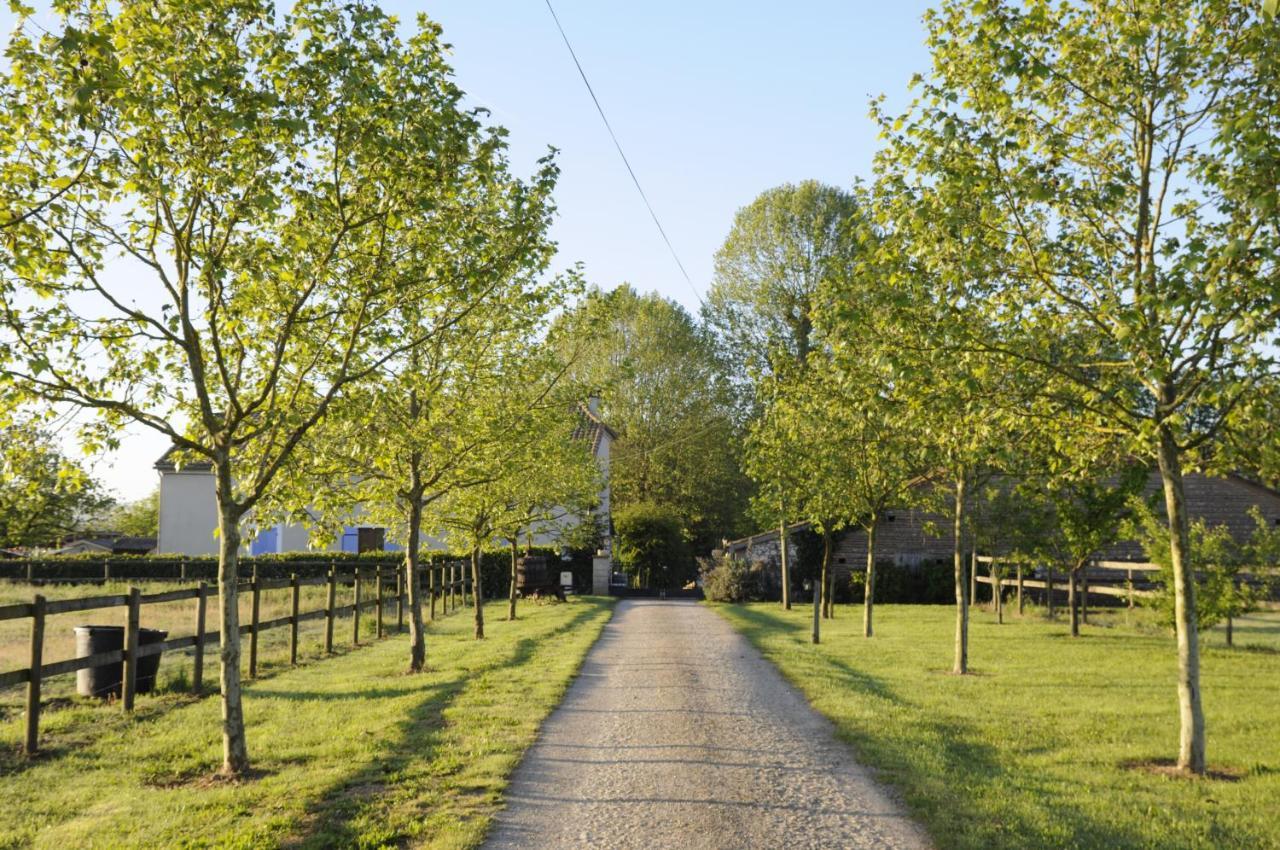 לינה וארוחת בוקר Fongrave Domaine Ramonjavel, Glamping & Alpaca'S מראה חיצוני תמונה