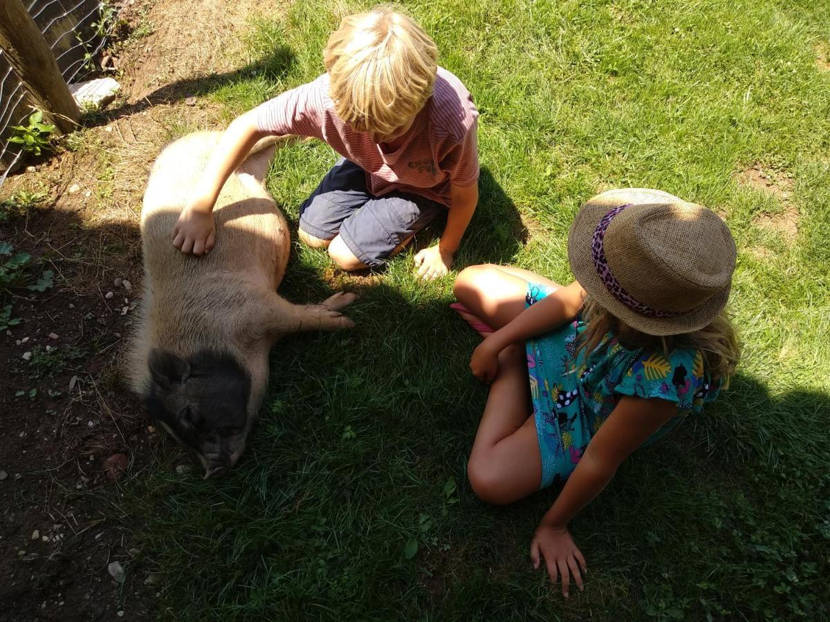 לינה וארוחת בוקר Fongrave Domaine Ramonjavel, Glamping & Alpaca'S מראה חיצוני תמונה