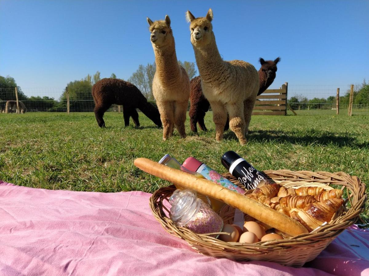 לינה וארוחת בוקר Fongrave Domaine Ramonjavel, Glamping & Alpaca'S מראה חיצוני תמונה