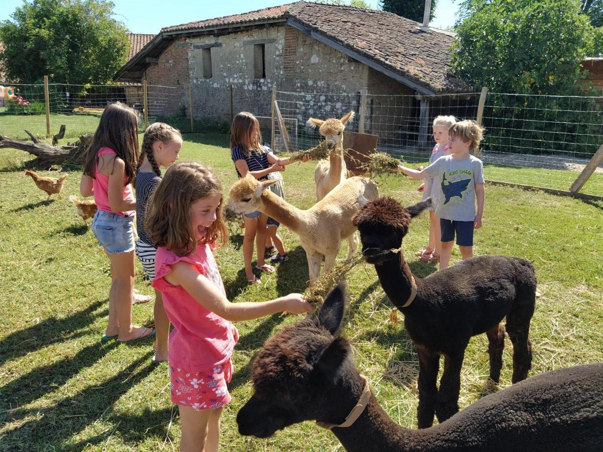 לינה וארוחת בוקר Fongrave Domaine Ramonjavel, Glamping & Alpaca'S מראה חיצוני תמונה