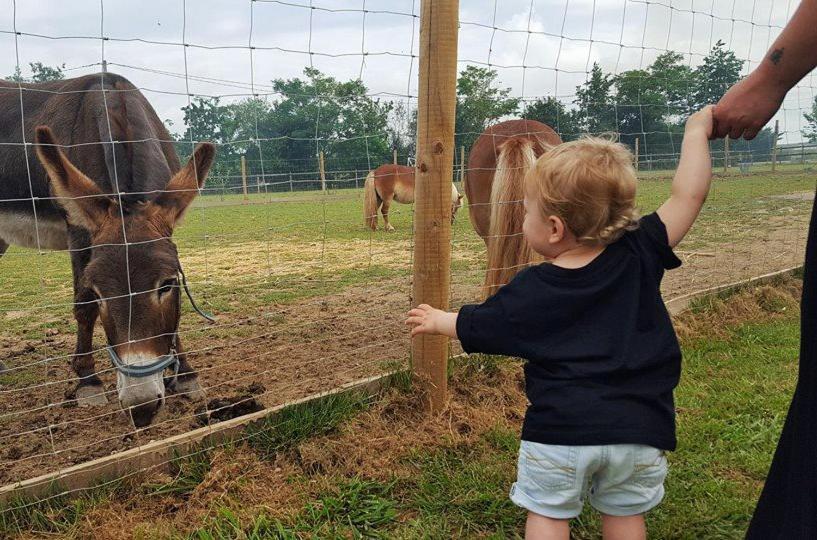 לינה וארוחת בוקר Fongrave Domaine Ramonjavel, Glamping & Alpaca'S מראה חיצוני תמונה